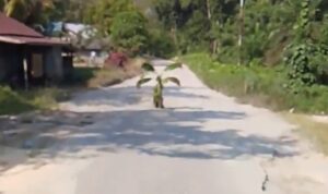 Screenshot_20250928-200557