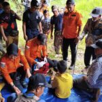 wmremove-transformed