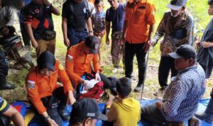 wmremove-transformed