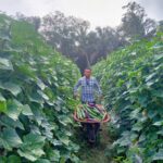 FB_IMG_1763556352233