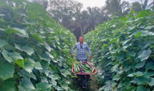 FB_IMG_1763556352233