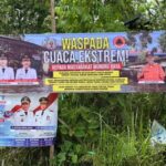 SaveClip.App_575613005_18102036202726140_1699793297565650127_n