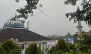 Screenshot_20251108-010046