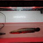 Screenshot_20251111-074633 (1)