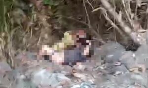 Screenshot_20260121-162547