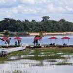 Screenshot_20260322-123734