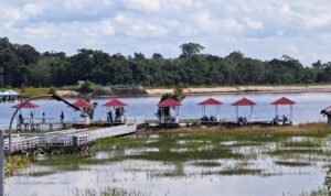 Screenshot_20260322-123734